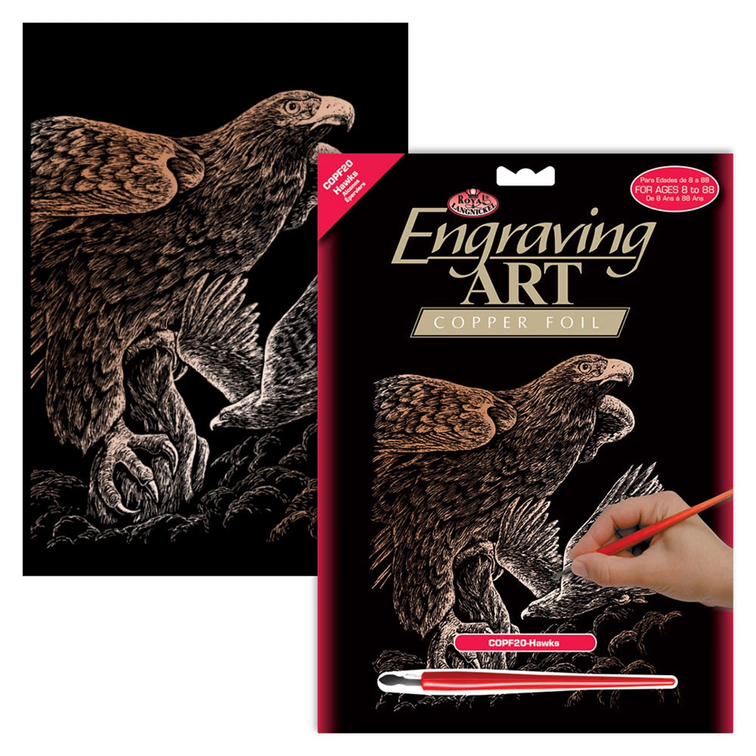 R&L GRAVURES D'ART STD CUIVRE FAUCON 21.3X29.5CM