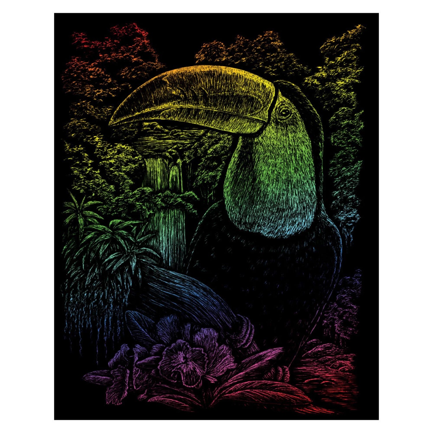 R&L GRAVURES D'ART STD ARC-EN-CIEL TOUCAN 21.3X29.5CM