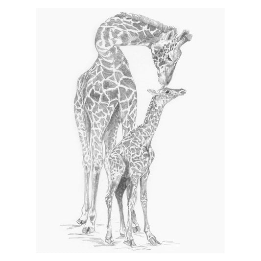 R&L SKETCHING STD GIRAFES 24X33CM
