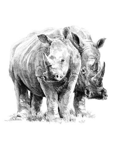 R&L SKETCHING STD RHINOCEROS 24X33CM