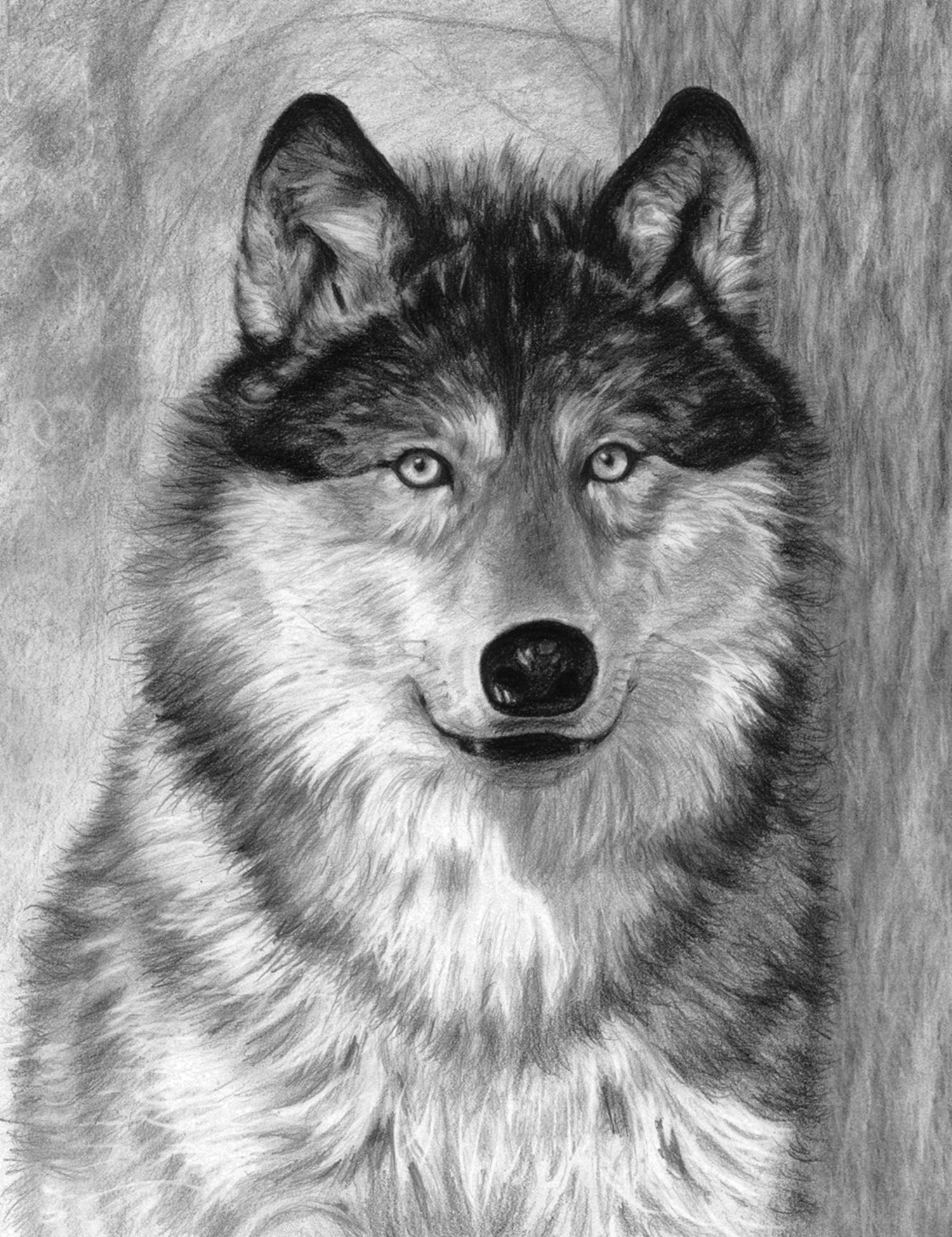 R&L SKETCHING STD LOUP ALPHA 24X33CM