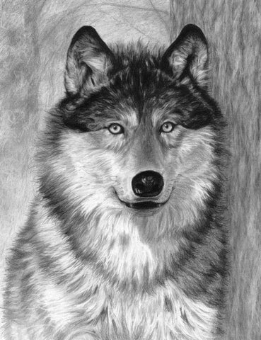 R&L SKETCHING STD LOUP ALPHA 24X33CM