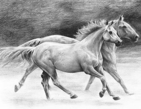 R&L SKETCHING STD CHEVAUX AU GALOP 24X33CM