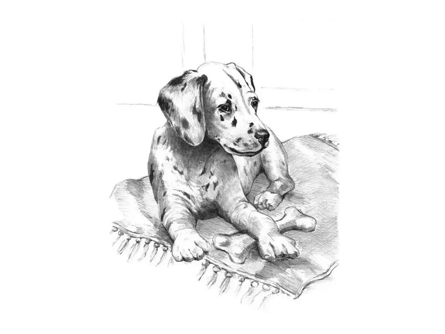 R&L SKETCHING STD CHIOT DALMATIEN 21.3X30CM