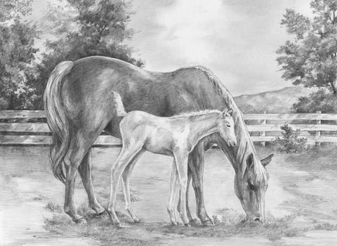 R&L SKETCHING GM CHEVAUX AU PRE 32.4X40CM