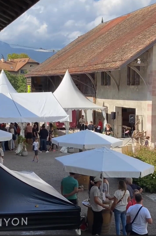 Château de Crans - Gamaret - Vet Rode Wijn 🍷