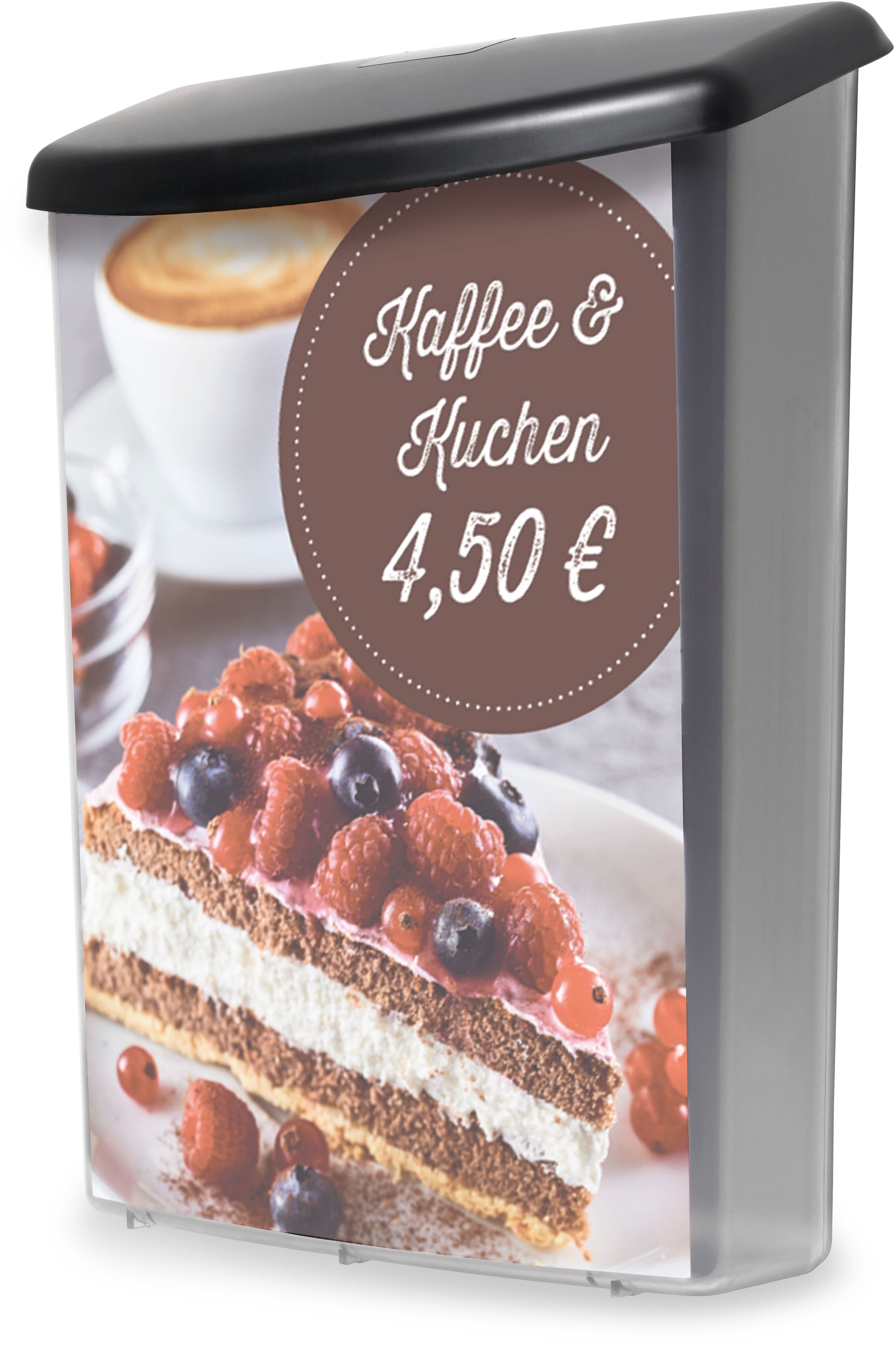 DEFLECTO Prospektbox A4 790801 für Aussenbereich