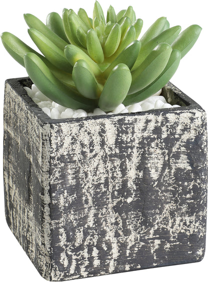 EGLO Kunstpflanze 12cm 428007 grün, im Topf