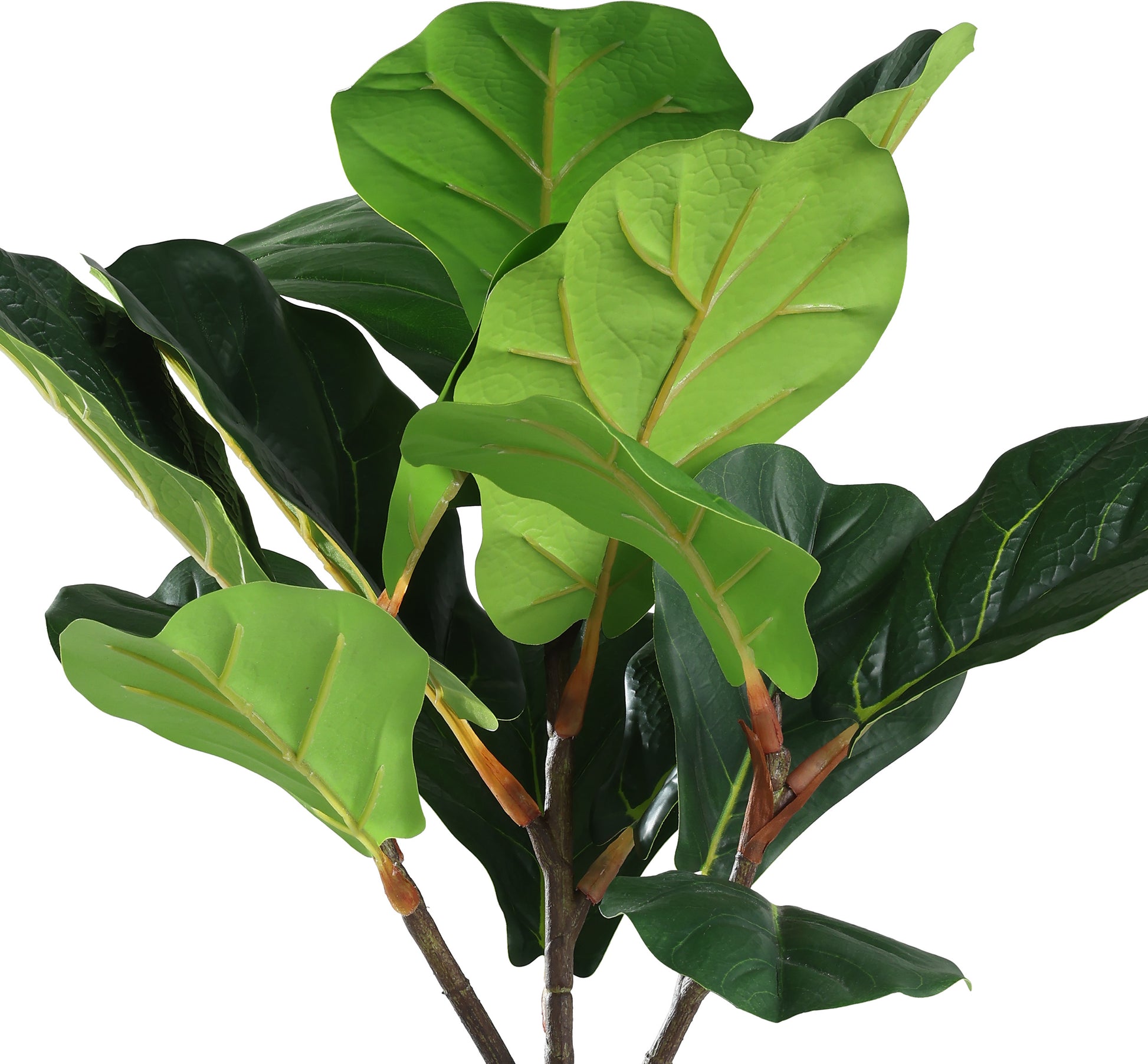 EGLO Kunstpflanze 90cm 428021 grün, im Topf