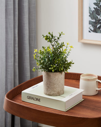 EGLO Kunstpflanze 25cm 428025 grün, im Topf