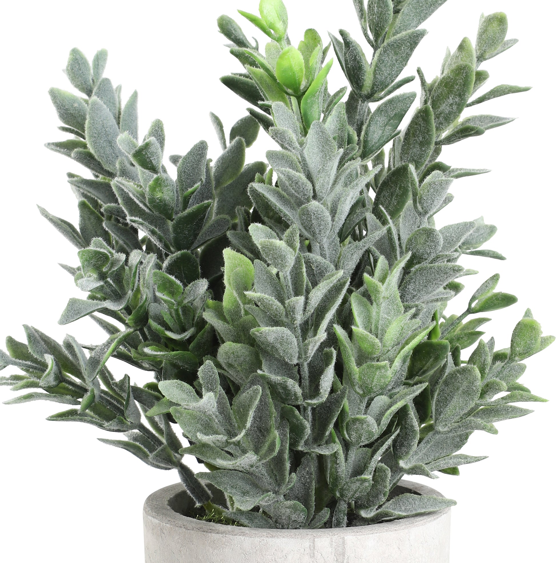 EGLO Kunstpflanze 22cm 428027 grün, im Topf