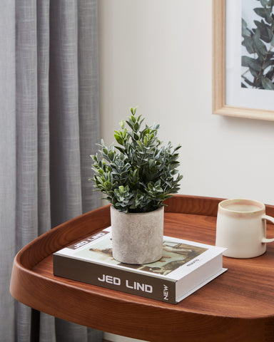 EGLO Kunstpflanze 22cm 428027 grün, im Topf