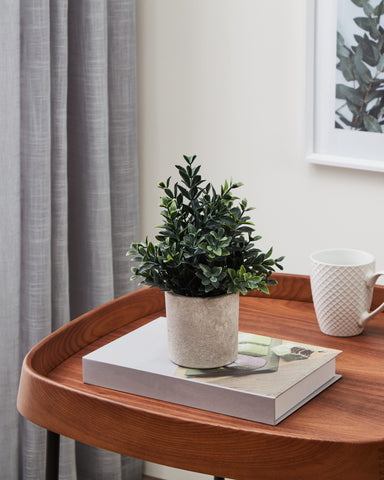 EGLO Kunstpflanze 23cm 428028 grün, im Topf