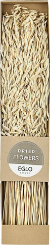 EGLO Trockenblume 60cm 428036 beige