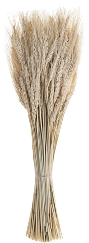 EGLO Trockenblume 60cm 428041 beige