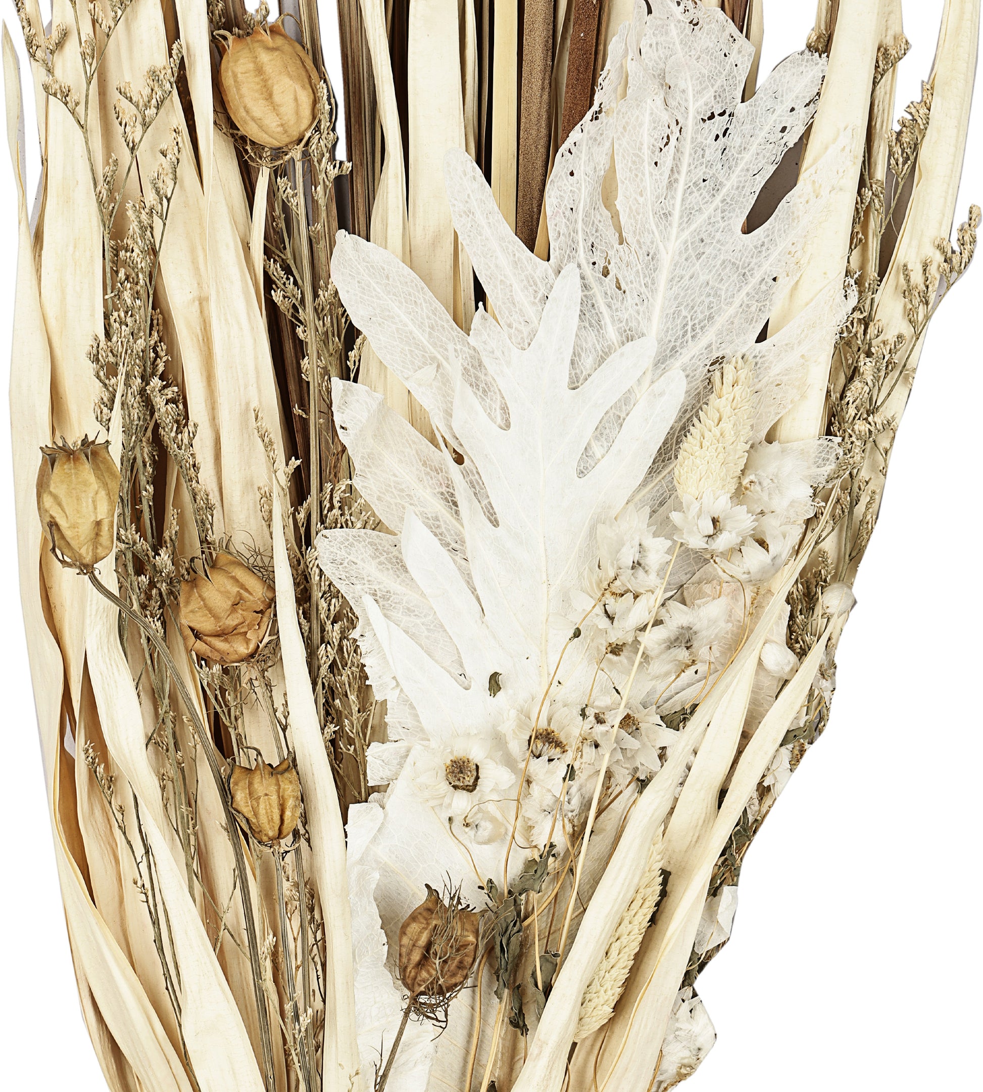 EGLO Trockenblume 60cm 428045 beige