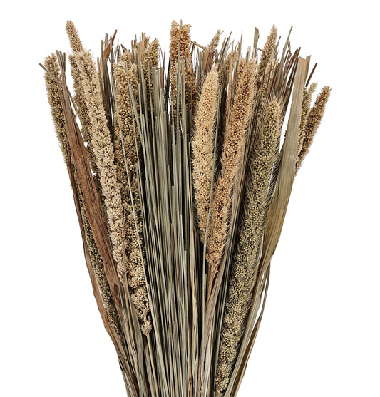 EGLO Trockenblume 45cm 428046 braun