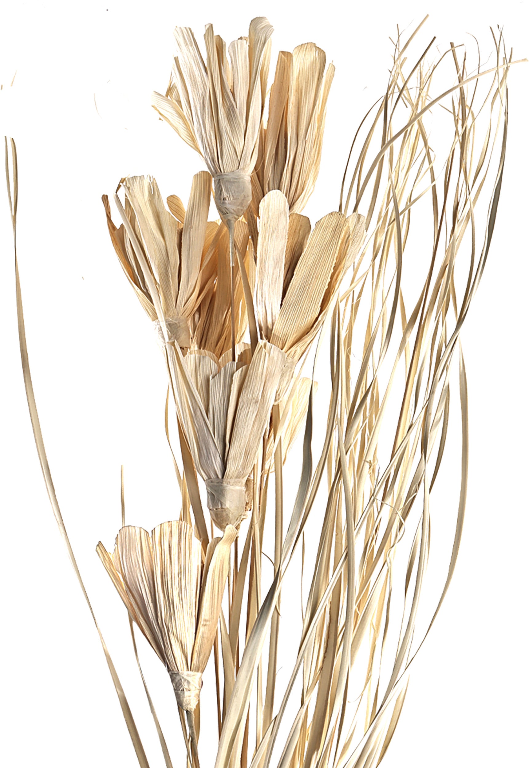 EGLO Trockenblume 100cm 428051 beige