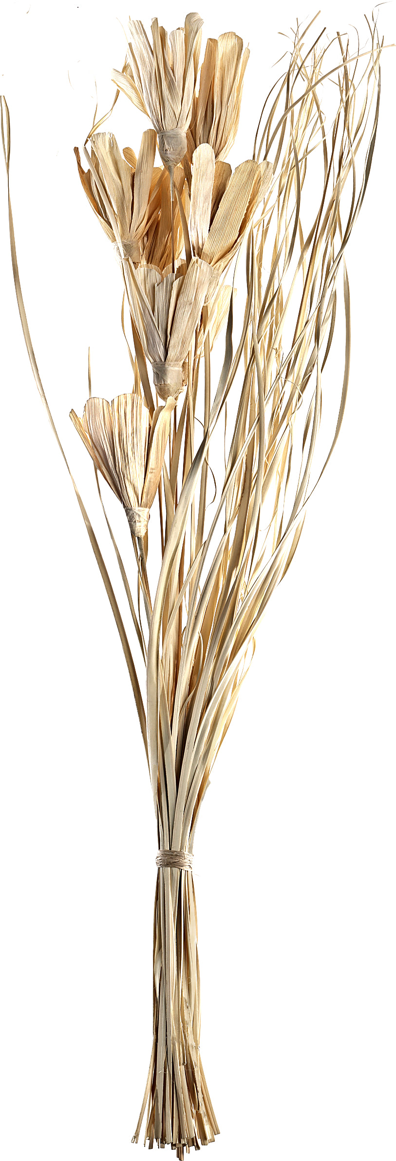 EGLO Trockenblume 100cm 428051 beige
