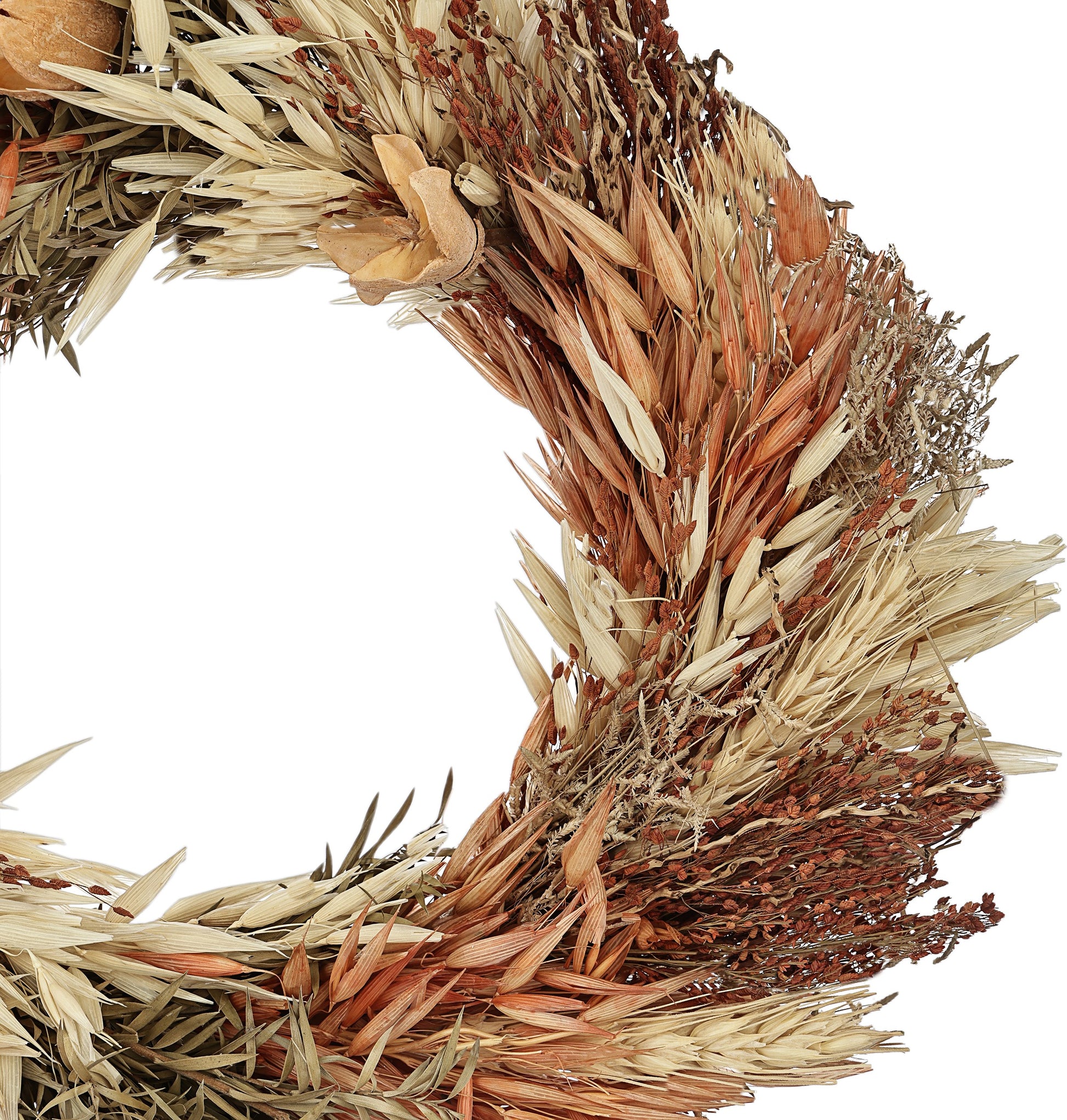 EGLO Trockenblume Ø25cm 428052 braun