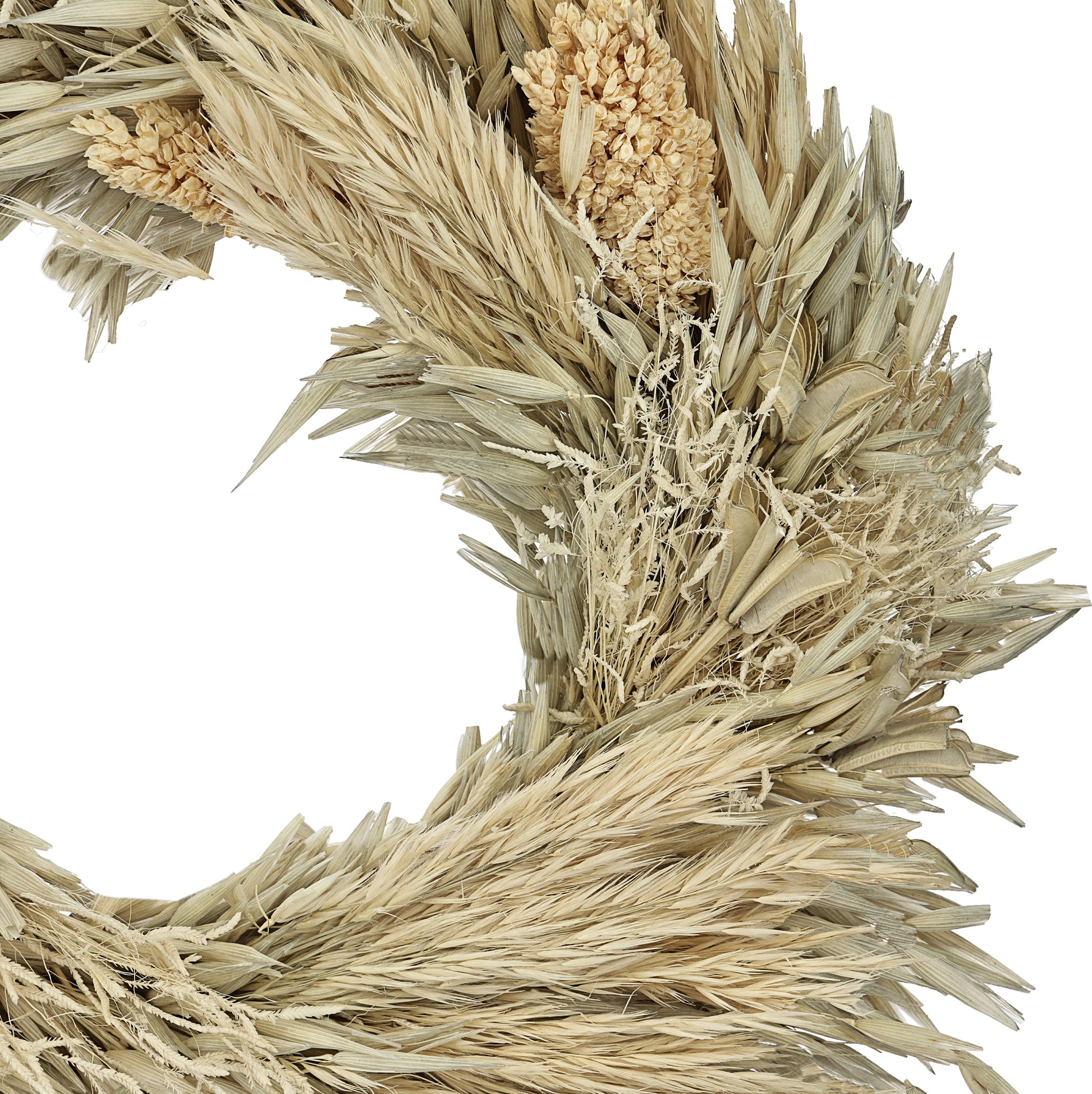 EGLO Trockenblume Ø25cm 428053 beige