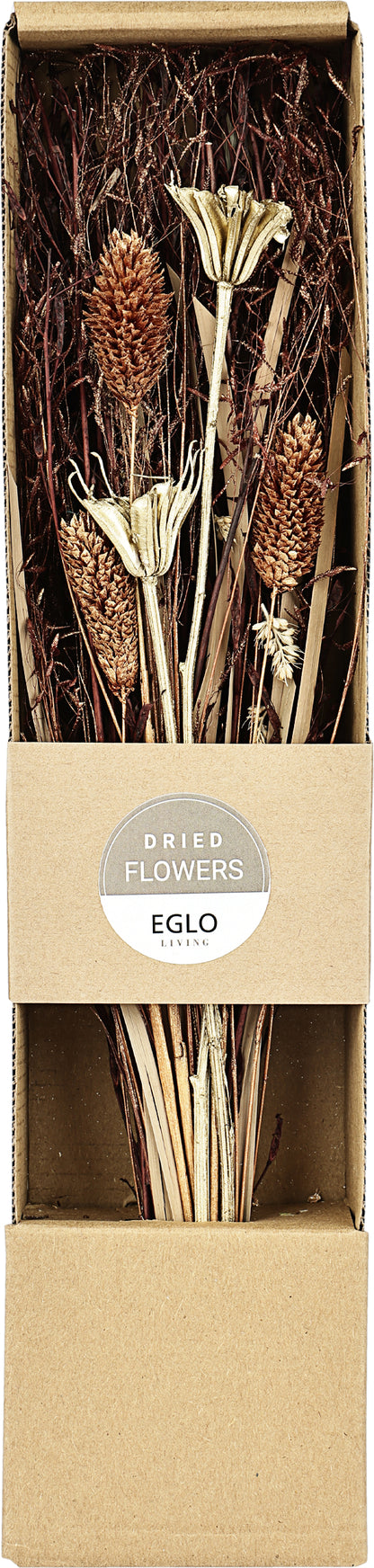EGLO Trockenblume 37cm 428055 gold
