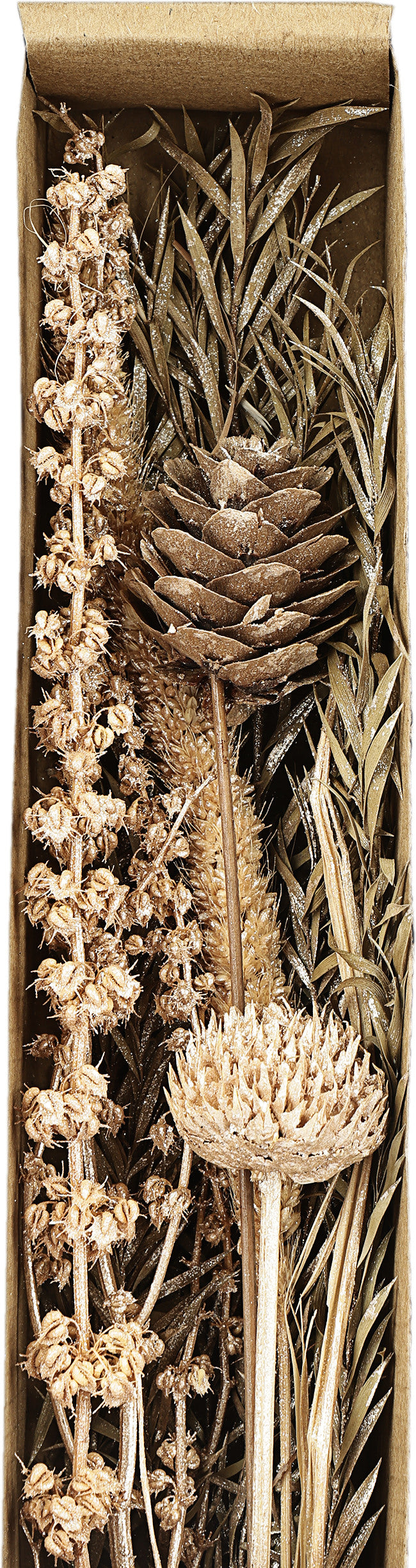EGLO Trockenblume 37cm 428056 beige