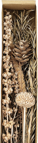 EGLO Trockenblume 37cm 428056 beige