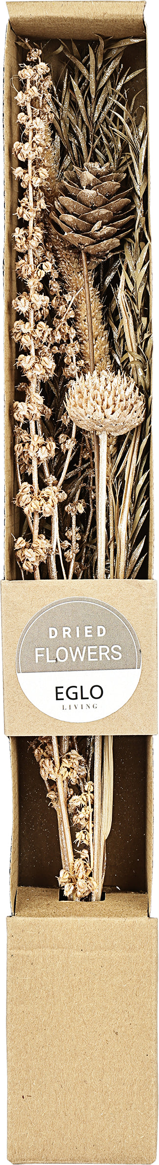 EGLO Trockenblume 37cm 428056 beige