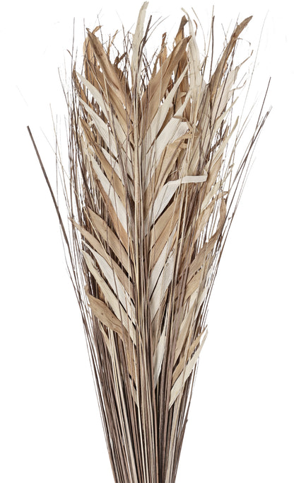 EGLO Trockenblume 100cm 428057 beige