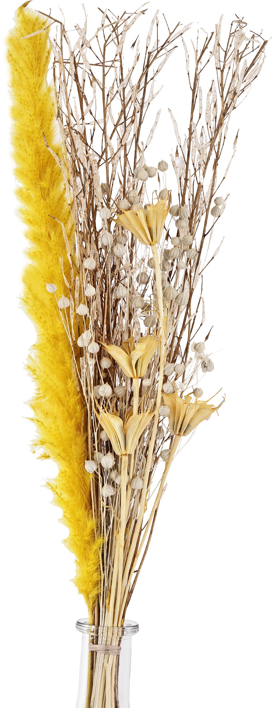 EGLO Trockenblumen CARAQUET 56cm 428065 gelb, mit Vase