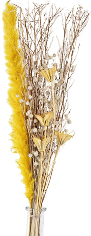 EGLO Trockenblumen CARAQUET 56cm 428065 gelb, mit Vase