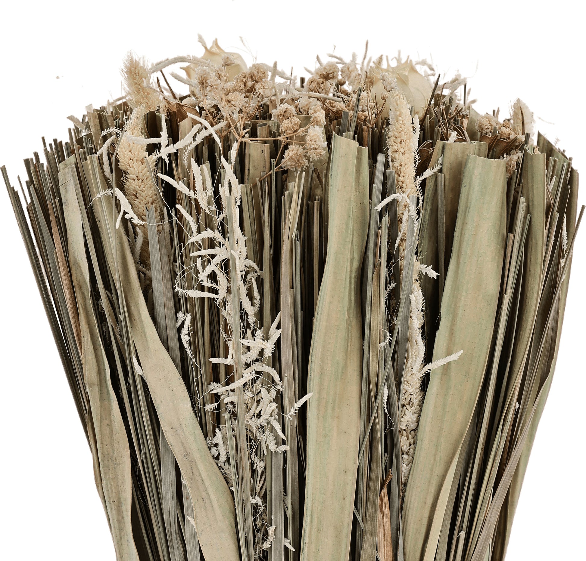 EGLO Trockenblumen CARAQUET 25cm 428067 beige