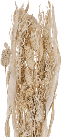 EGLO Trockenblumen CARAQUET 45cm 428071 beige