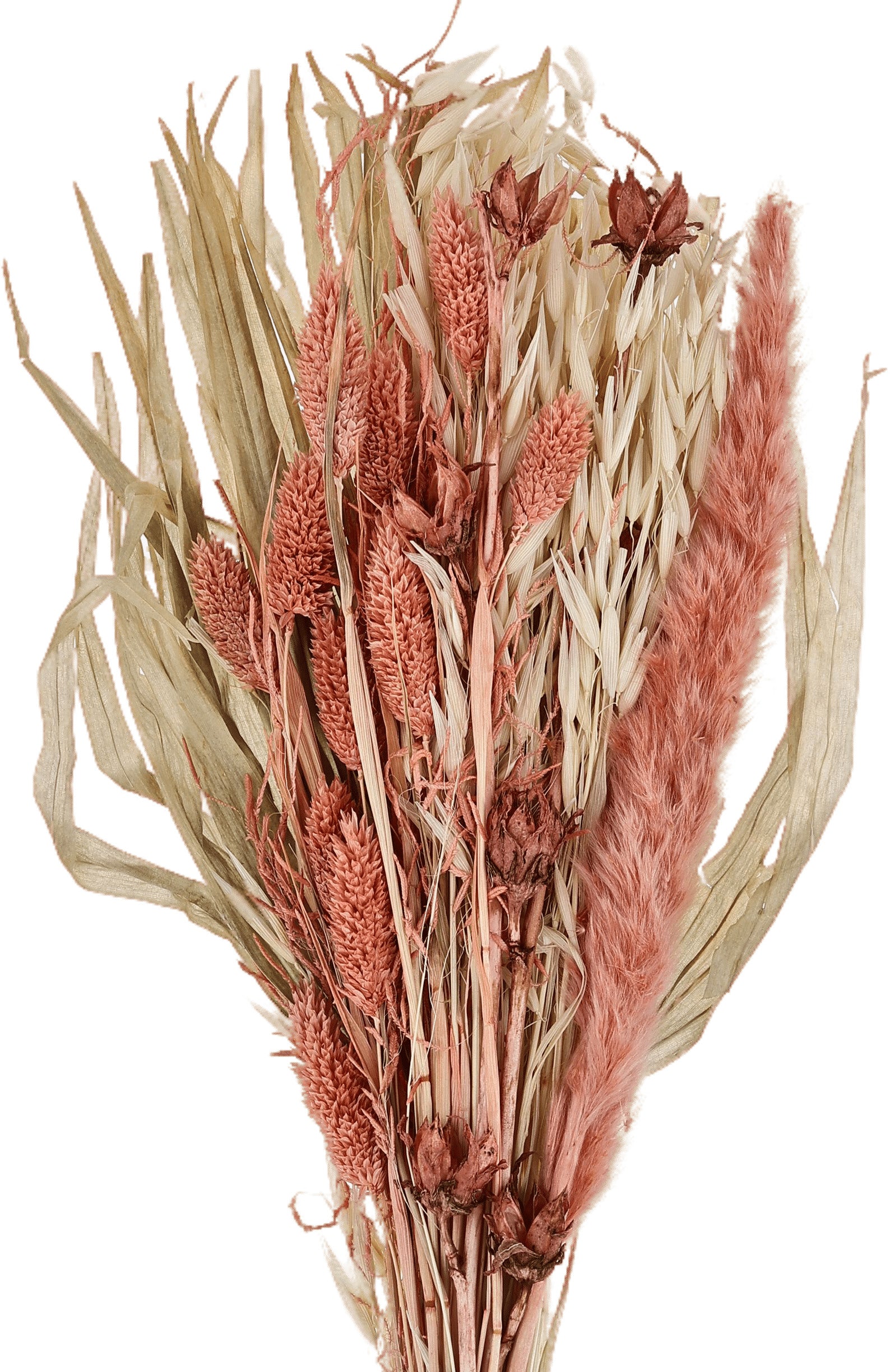 EGLO Trockenblumen CARAQUET 60cm 428073 orange