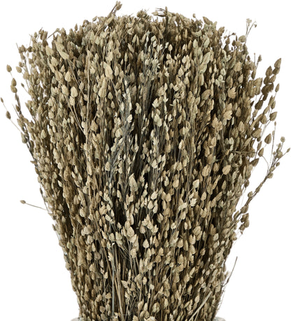 EGLO Trockenblumen CARAQ 18cm 428077 braun, mit Vase