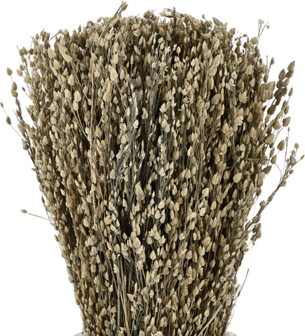 EGLO Trockenblumen CARAQ 18cm 428077 braun, mit Vase