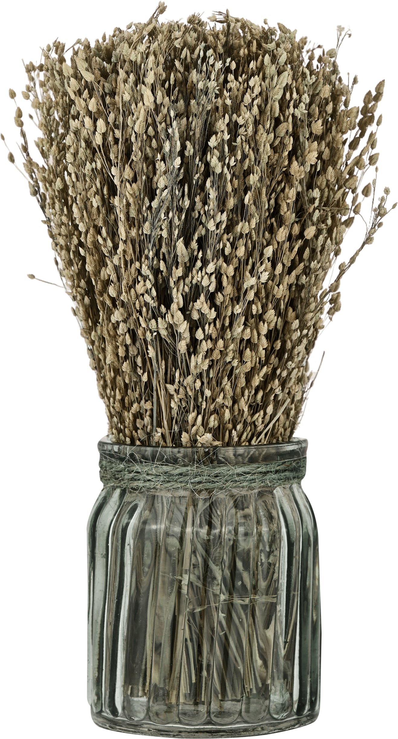 EGLO Trockenblumen CARAQ 18cm 428077 braun, mit Vase