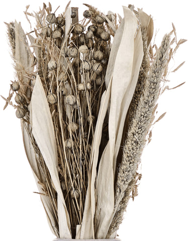 EGLO Trockenblumen CARAQ 28cm 428079 beige, mit Vase