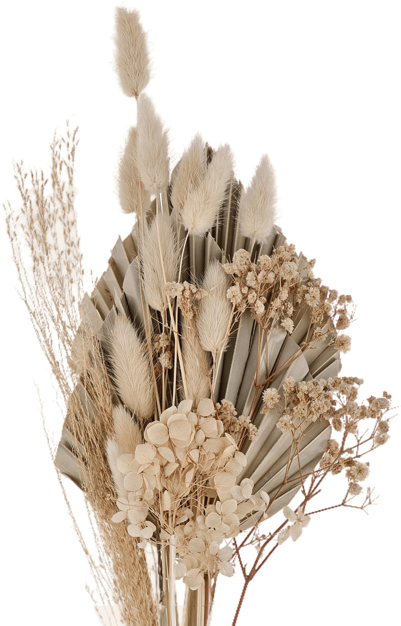 EGLO Trockenblumen CARAQUET 55cm 428084 beige, Strauss