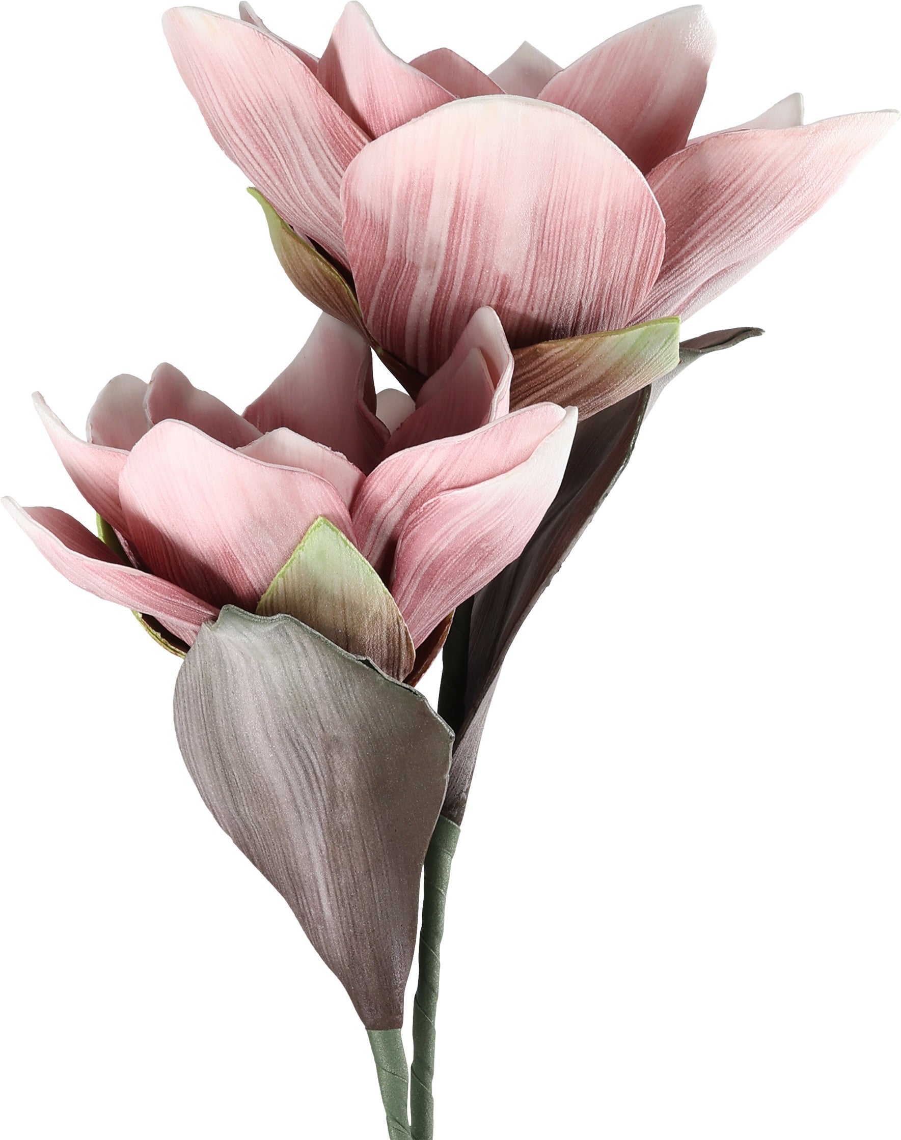 EGLO Kunstblume MOLAVE 428113 rosa