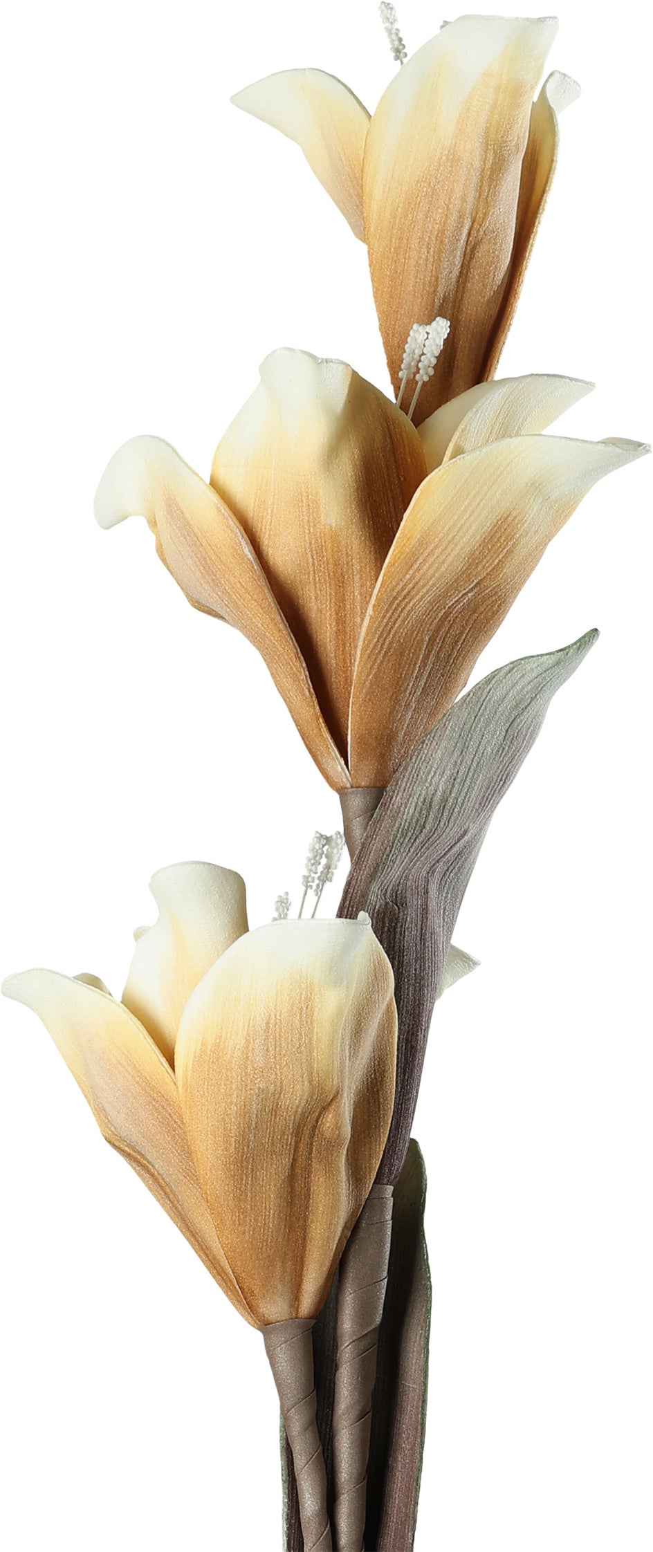 EGLO Kunstblume MOLAVE 428116 braun