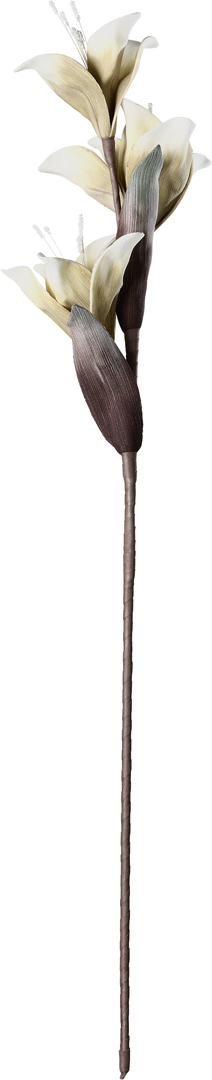 EGLO Kunstblume MOLAVE 428121 braun