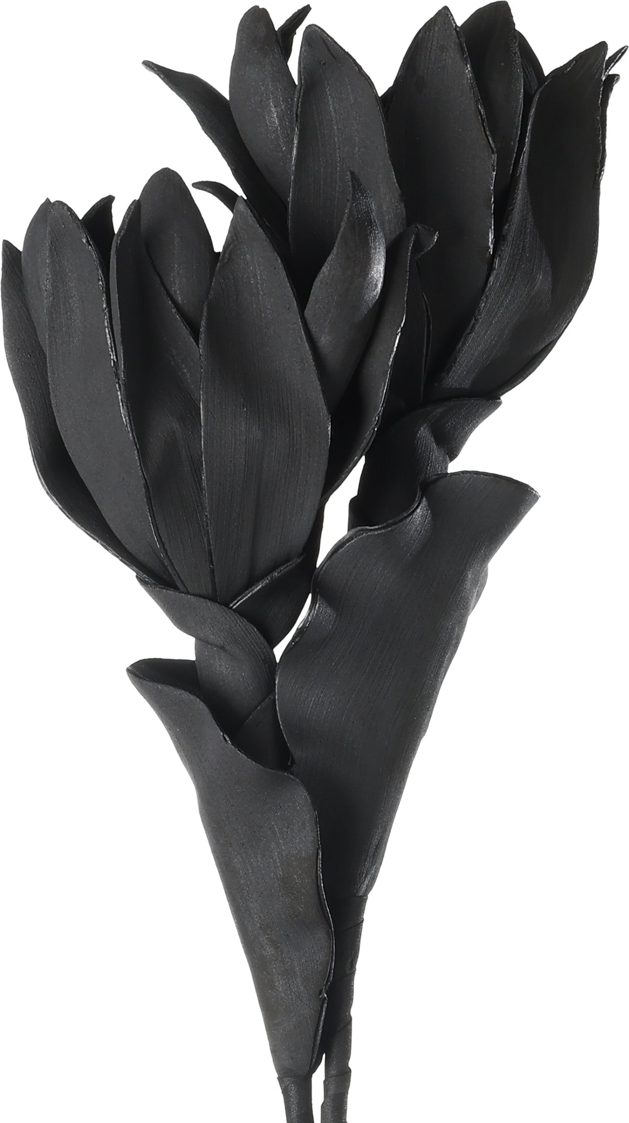 EGLO Kunstblume MOLAVE 428122 schwarz