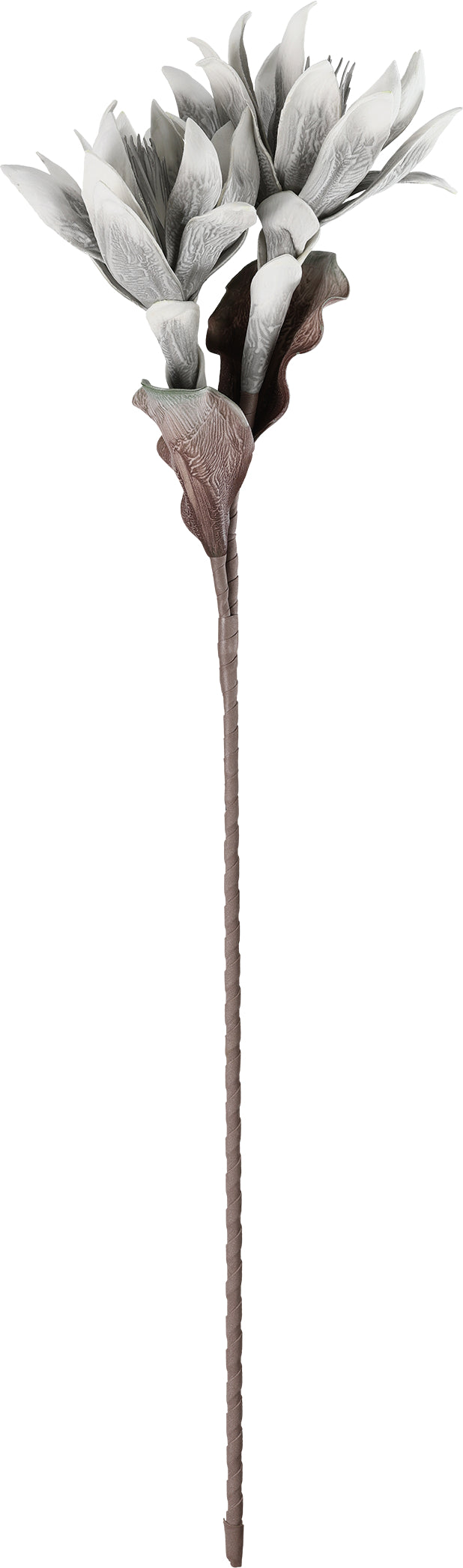 EGLO Kunstblume MOLAVE 428123 grau