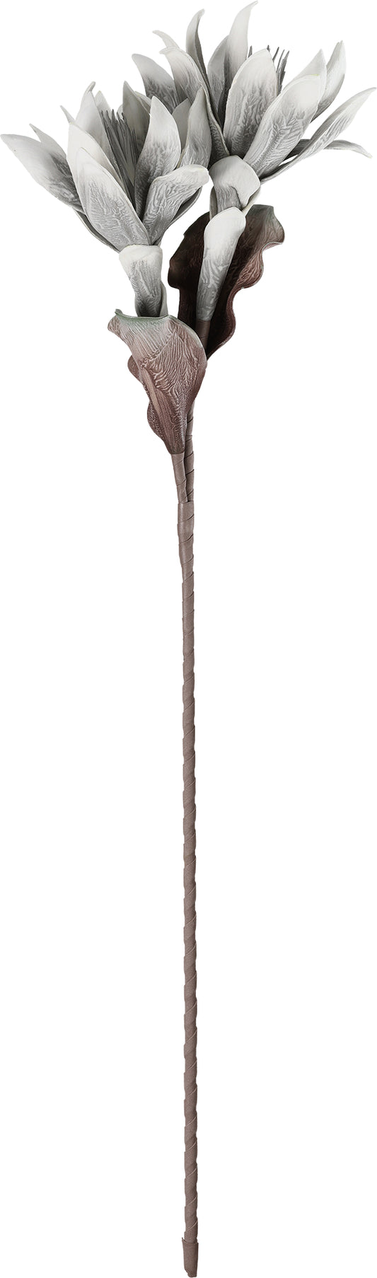 EGLO Kunstblume MOLAVE 428123 grau