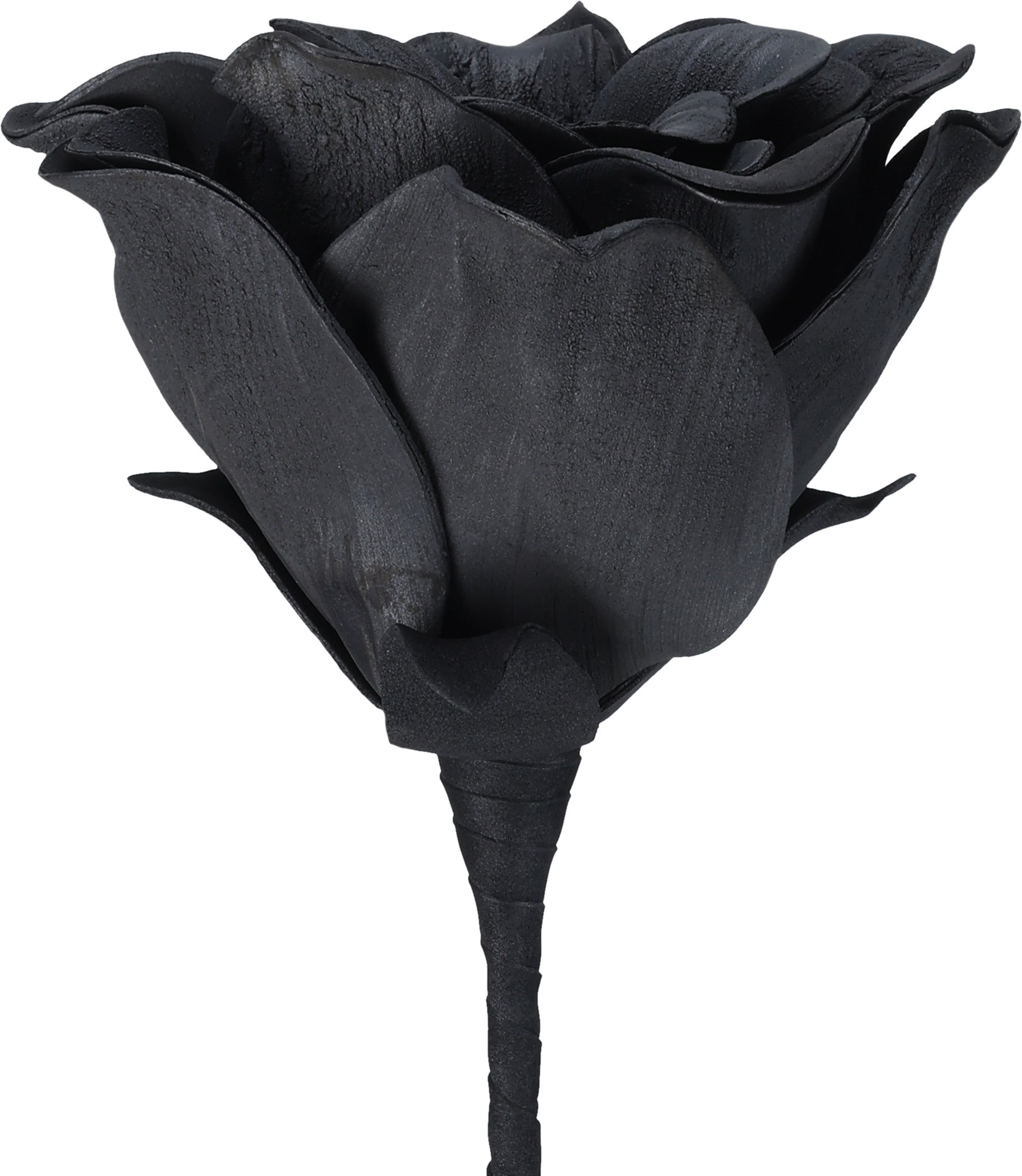 EGLO Kunstblume MOLAVE 428131 schwarz