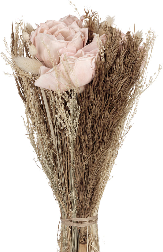 EGLO Trockenblumen CARAQUET 428153 apricot