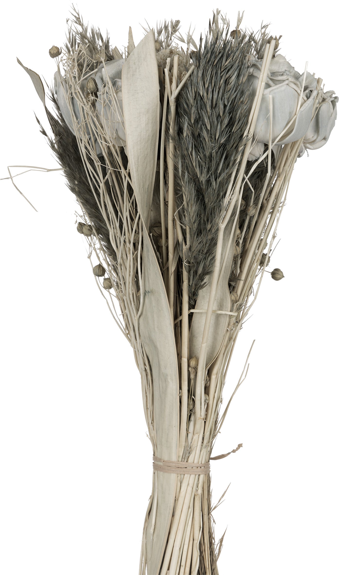 EGLO Trockenblumen CARAQUET 428154 blau