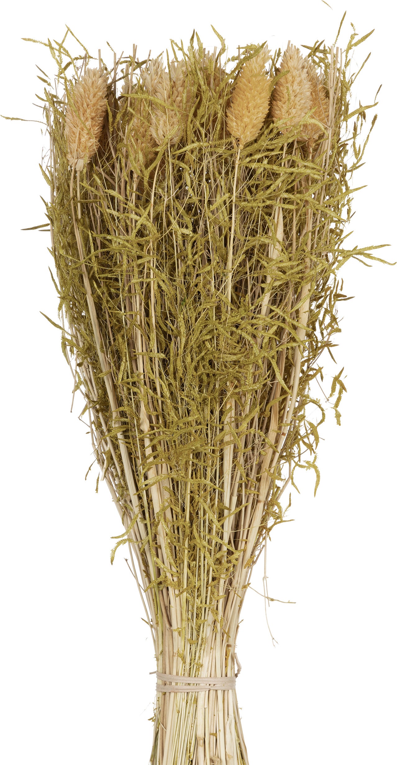 EGLO Trockenblumen CARAQUET 428159 gelb